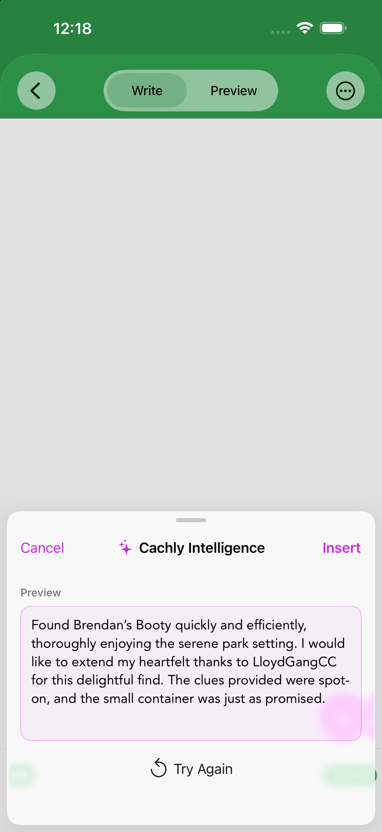 …and Cachly Intelligence drafts the log — Insert it, or Try Again.