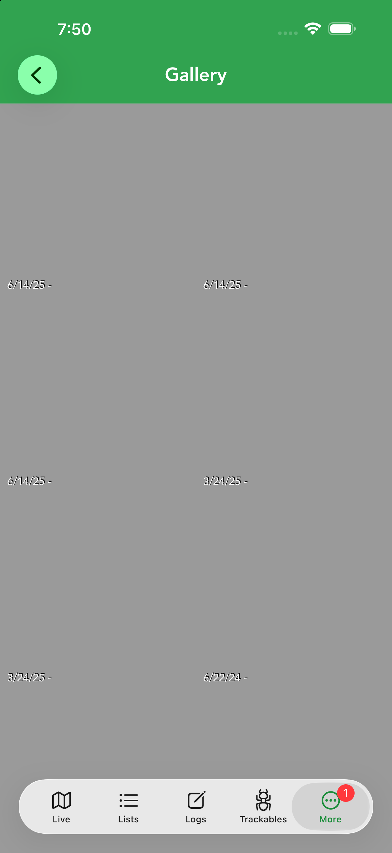 The Gallery collects photos from your logs, grouped by date.