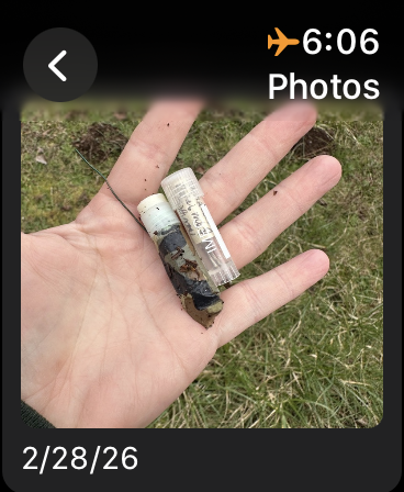 The caches photo gallery on your wrist.